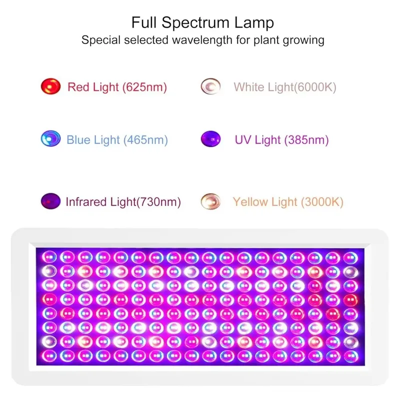 2026 Latest UV Light Box for S - Sneaker Box recension och pris